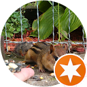 Steve Frandle profile picture